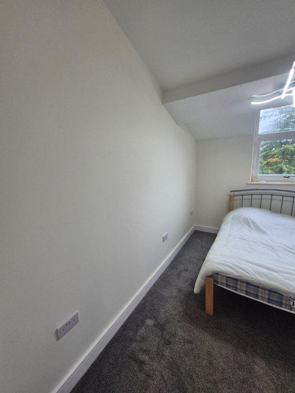 Heart of Briton, House with Brand New Renovations! Main Photo
