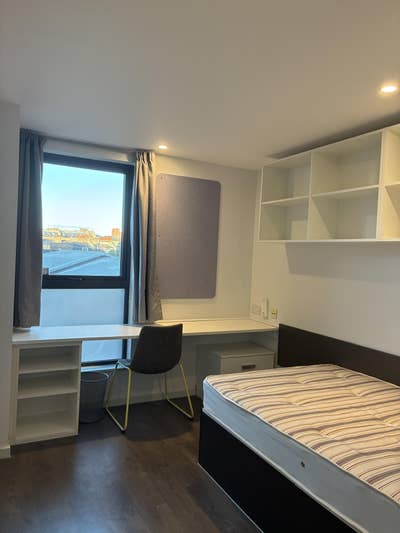 Furnished ensuite in Camden w/ private bathroom Main Photo