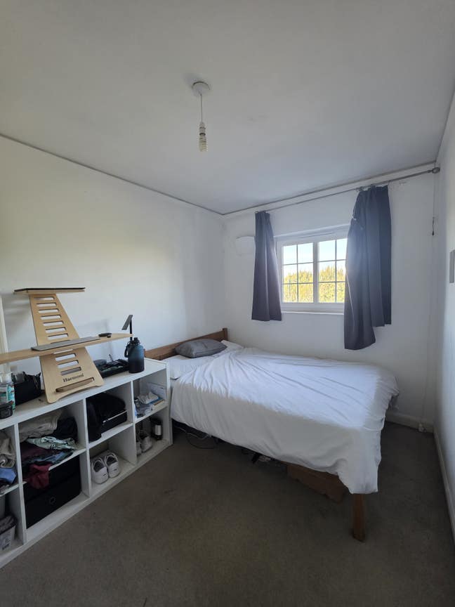 Chilled flat seeks new tenant Main Photo