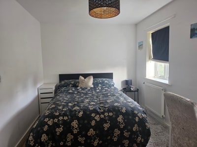 2 double rooms available NOW!  Main Photo