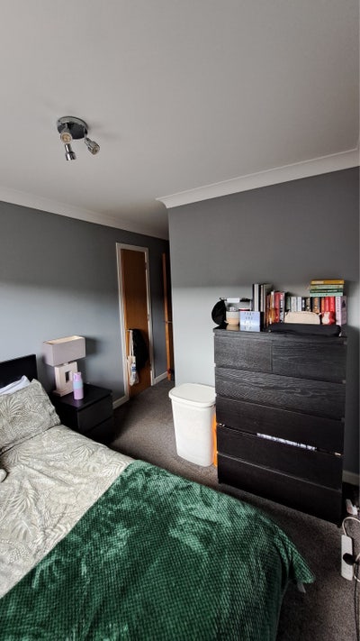 Double Bedroom available in Dennistoun 🌺 Main Photo