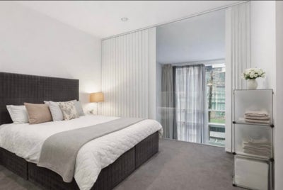 Have an amazing room looking for buddy up Main Photo