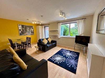 4 Double Bed Student Home Bills inc. 1St Aug 2027 Main Photo