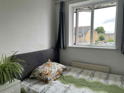 Single Room to Rent  Main Photo