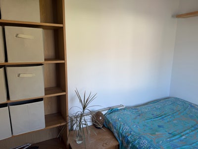 House mate wanted  Main Photo