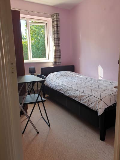 Single Room to Let Available Now Main Photo