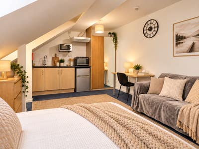 LargeBedsit with Private Kitchen Main Photo