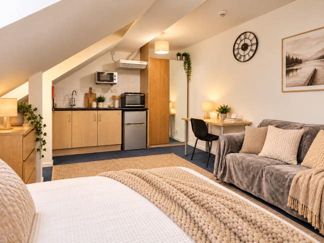 LargeBedsit with Private Kitchen Main Photo