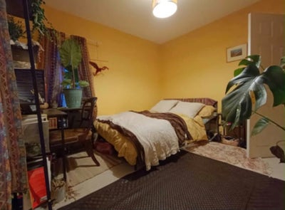 SpaciouRoom in a Lovely House with Great Vibes  Main Photo
