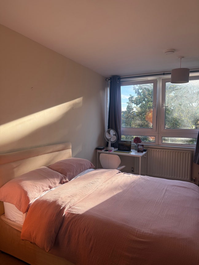Large, bright double room in Angel by the canal Main Photo