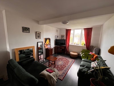 Large unfurnished room in 2 bed flat (with a cat) Main Photo
