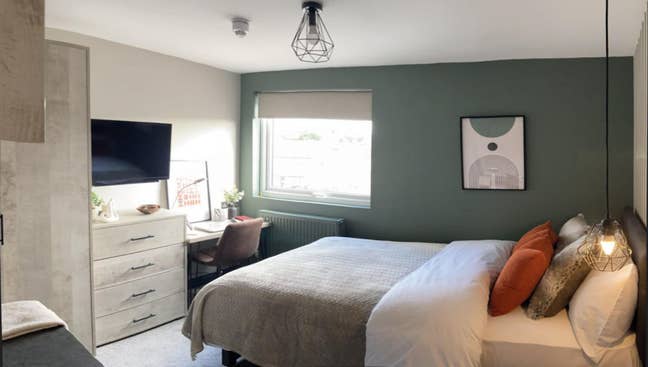 Beautiful quiet, en-suite double, lovely house.SN1 Main Photo