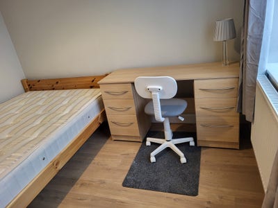 Newly Renovated Rooms Near Hospital and Town  Main Photo
