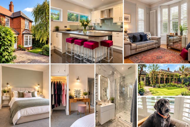 A beautiful home, lovely dog, ensuite/own lounge Main Photo