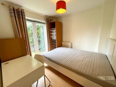 Room For Rent 🏠🚪 Main Photo