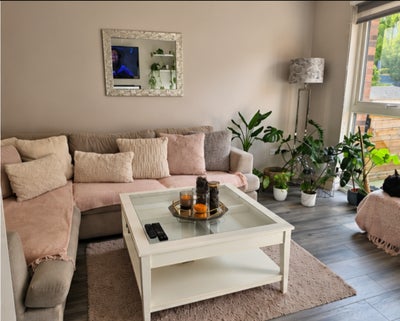 Lovely Double Room – Sharing with Just One Profess Main Photo