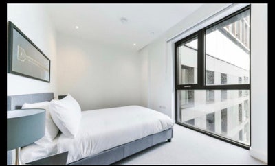 Bright, friendly flatshare near Haggerston Park Main Photo