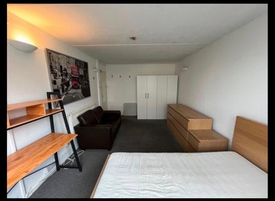 Large double room ~ Battersea Park ~ AV. NOW Main Photo
