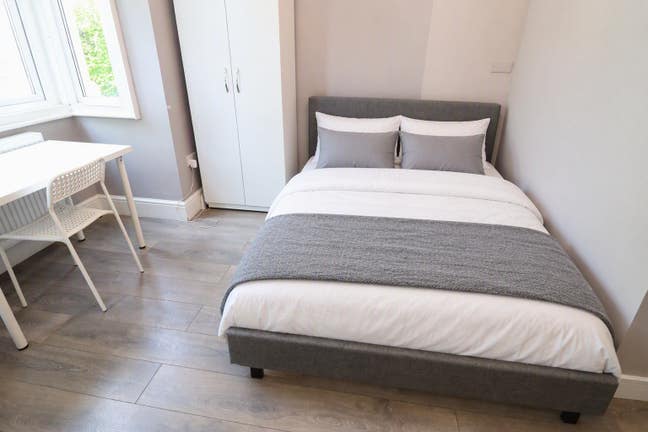 The Art of Modern Living | Statement Home in Acton Main Photo
