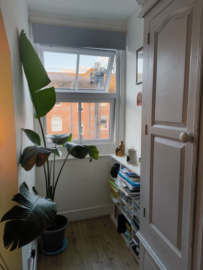 River garden -cosy double room &pound;750 pm incl  bills Main Photo