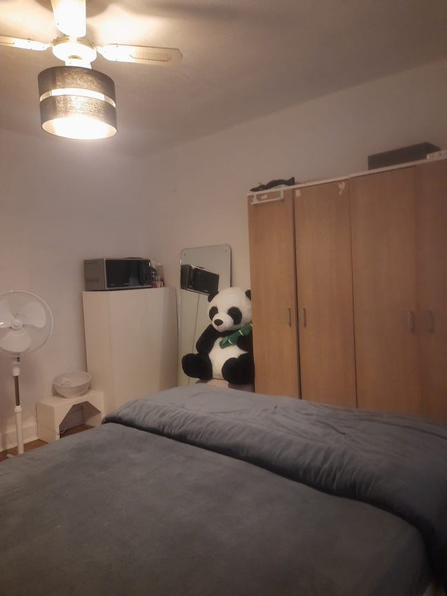 A room available  Main Photo