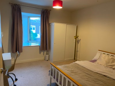Spacious Double Room in Friendly Vegetarian House Main Photo