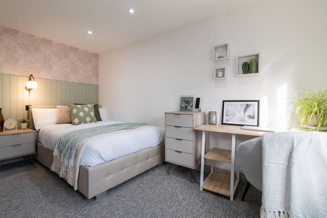  All-Female Luxury Nature-Inspired Houseshare F71 Main Photo