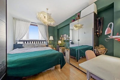 Gorgeous bedroom available in Euston! Main Photo