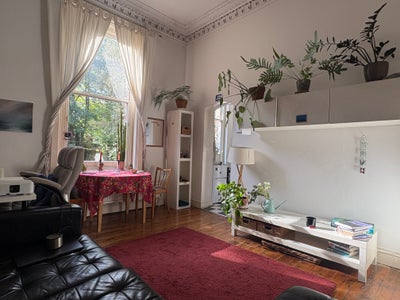 Spacious one-bed garden flat - Sydenham, short let Main Photo