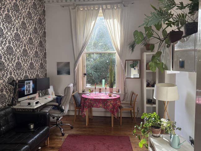 Spacious one-bed garden flat - Sydenham, short let Main Photo