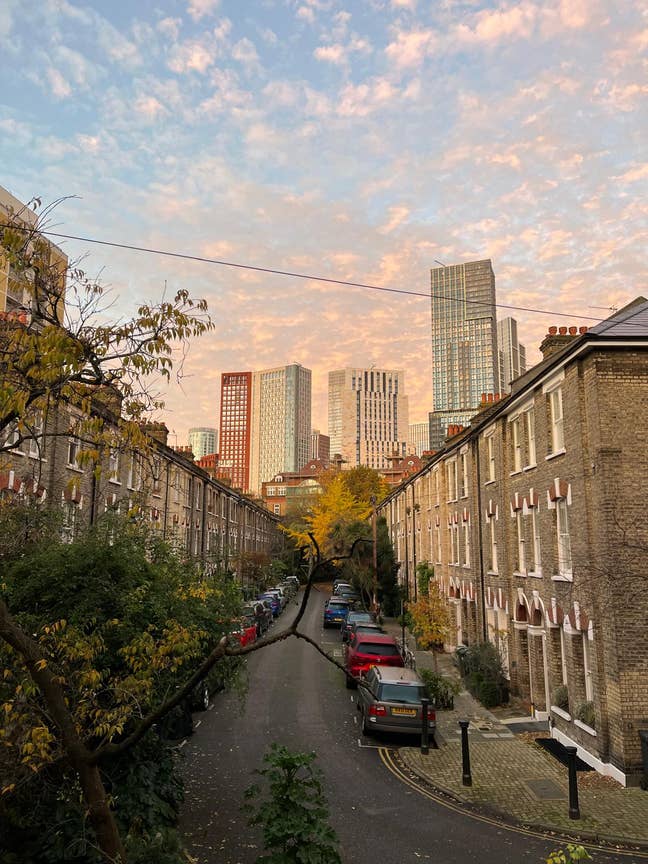 Double room in leafy and central Vauxhall Main Photo