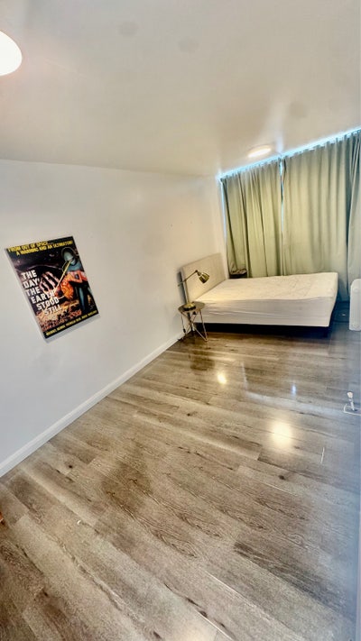Newly Refurbished Rooms in Maida Vale/Garden.  Main Photo