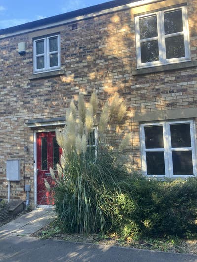 Great House Share on Quiet Estate Main Photo