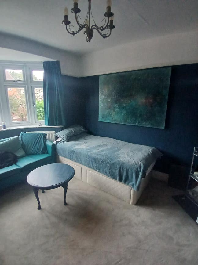 1 double room in family home (2 large dogs)  Main Photo