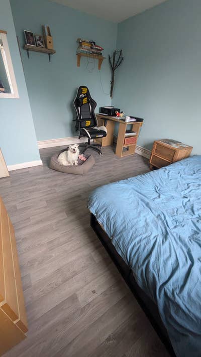 Room to Rent Friendly quiet House Main Photo