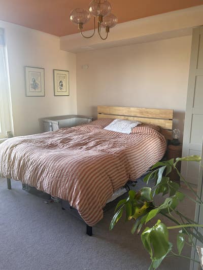 One-bedroom flat available for Dec, in Brockley Main Photo
