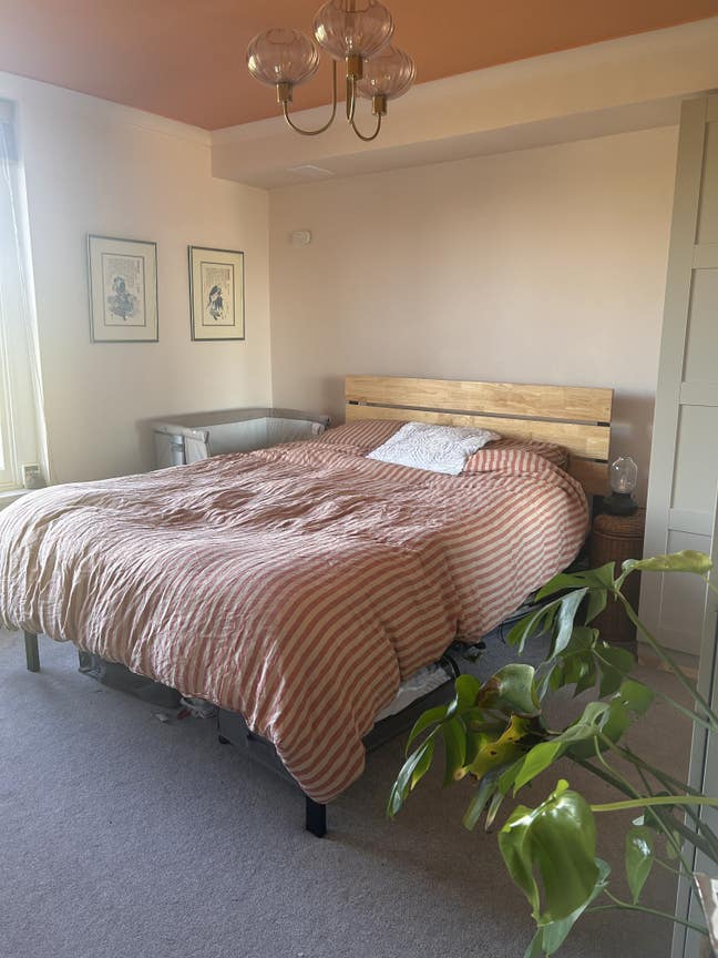 One-bedroom flat available for Dec, in Brockley Main Photo