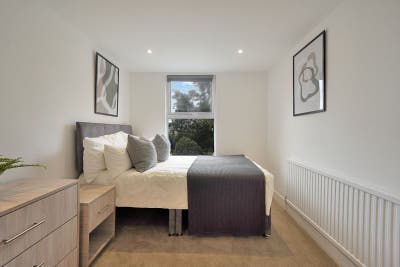 🌷 Bright Double | All-Female Ealing Home Main Photo