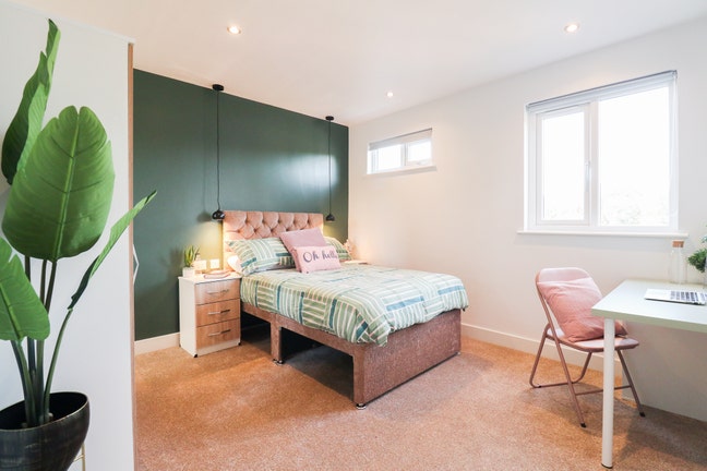 💥Modern Studio Available 🏡 LE3 Main Photo