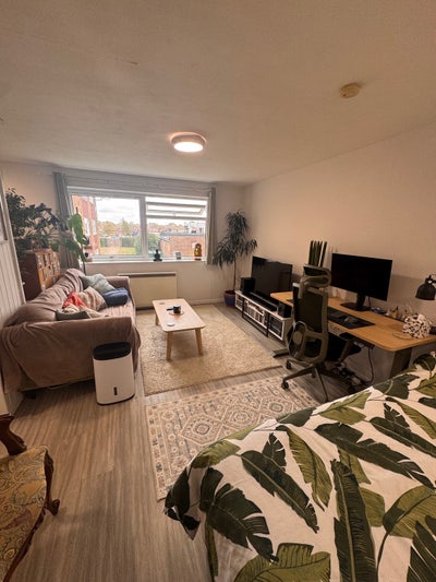 Fabulous Large Studio Flats to Suit Professionals! Main Photo