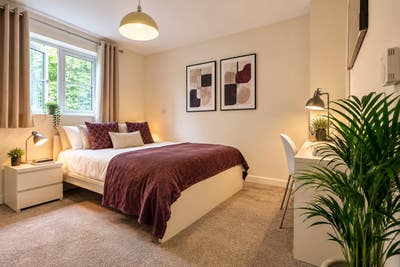 Professional Double Room Close to Town Centre Main Photo