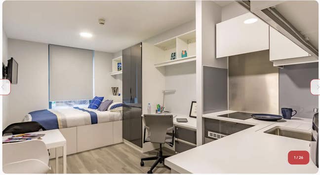 Premium Student Studio at Vibe Student Living, Lon Main Photo