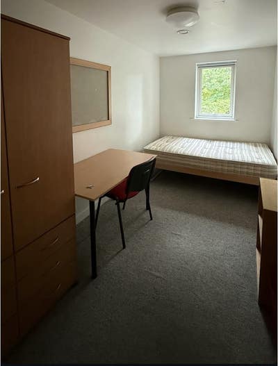Room Available in Women Only Shared Student Flat Main Photo