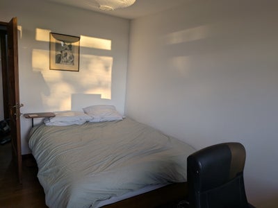 Double Room in Holloway Main Photo