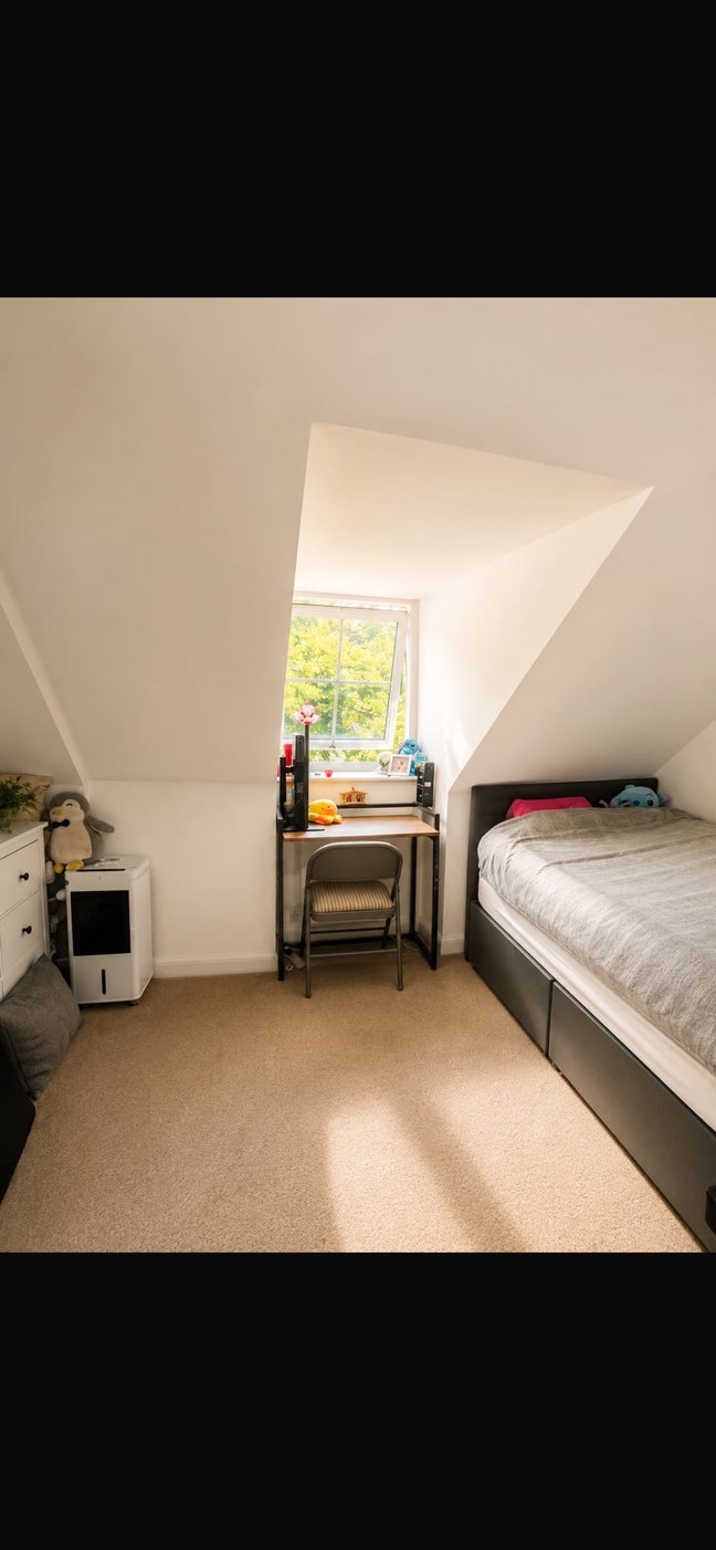 1 rooms to rent available  Main Photo