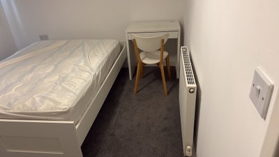 Double Room with private roof terrace in E1W  Main Photo
