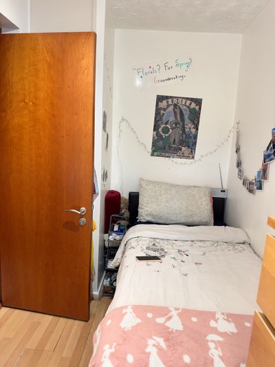 Female flatmate in her 20s for our lovely house Main Photo
