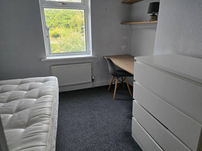 Double room to rent in Cardiff Main Photo