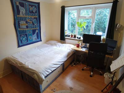 Bright Room in Friendly Flat by Finsbury Park Main Photo
