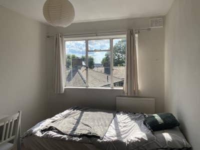 Small double room available in Cosy flat   Main Photo